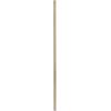 24 Inch Down Rod Length - Antique Brass Finish